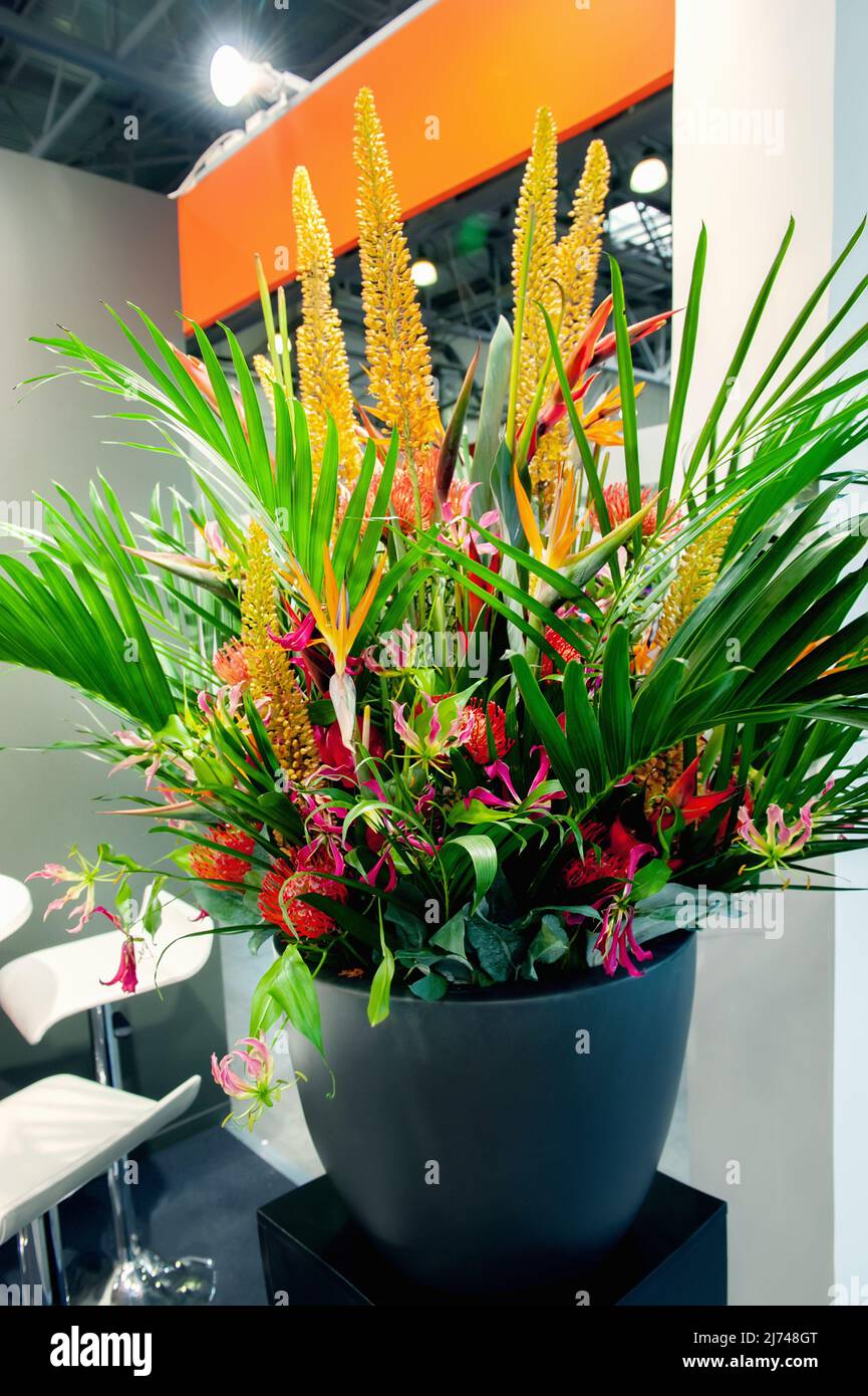 beautiful spring bouquet. flower arrangement with orchids and tropical plants. concept of floristry of a flower shop, a small family business. Stock Photo