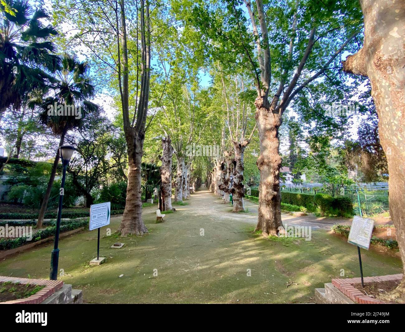 Zoo building and visitors in Botanical test Garden of Hamma Algiers