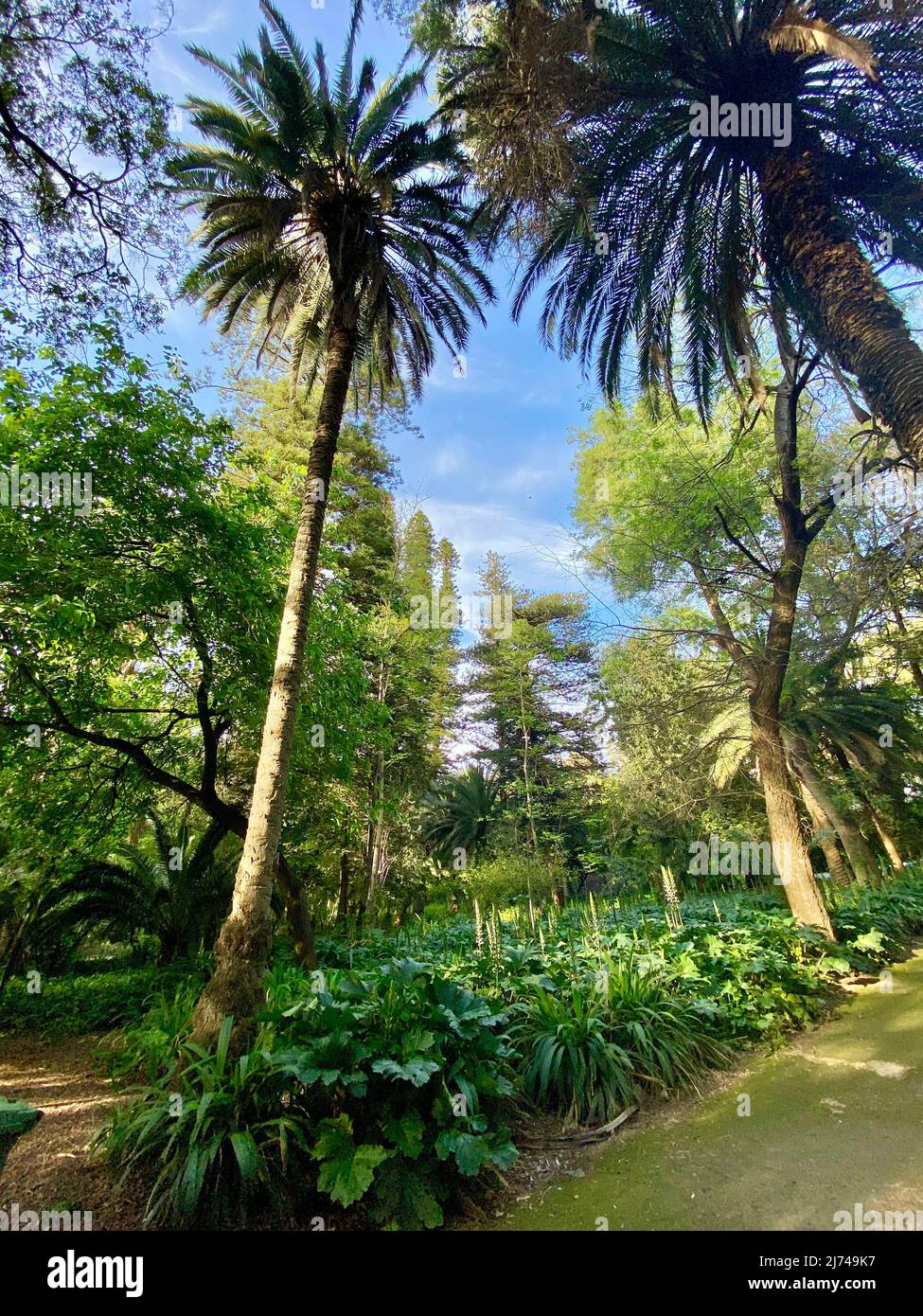 Zoo building and visitors in Botanical test Garden of Hamma Algiers.Established in 1832 and now still considered one of the most important botanical Stock Photo