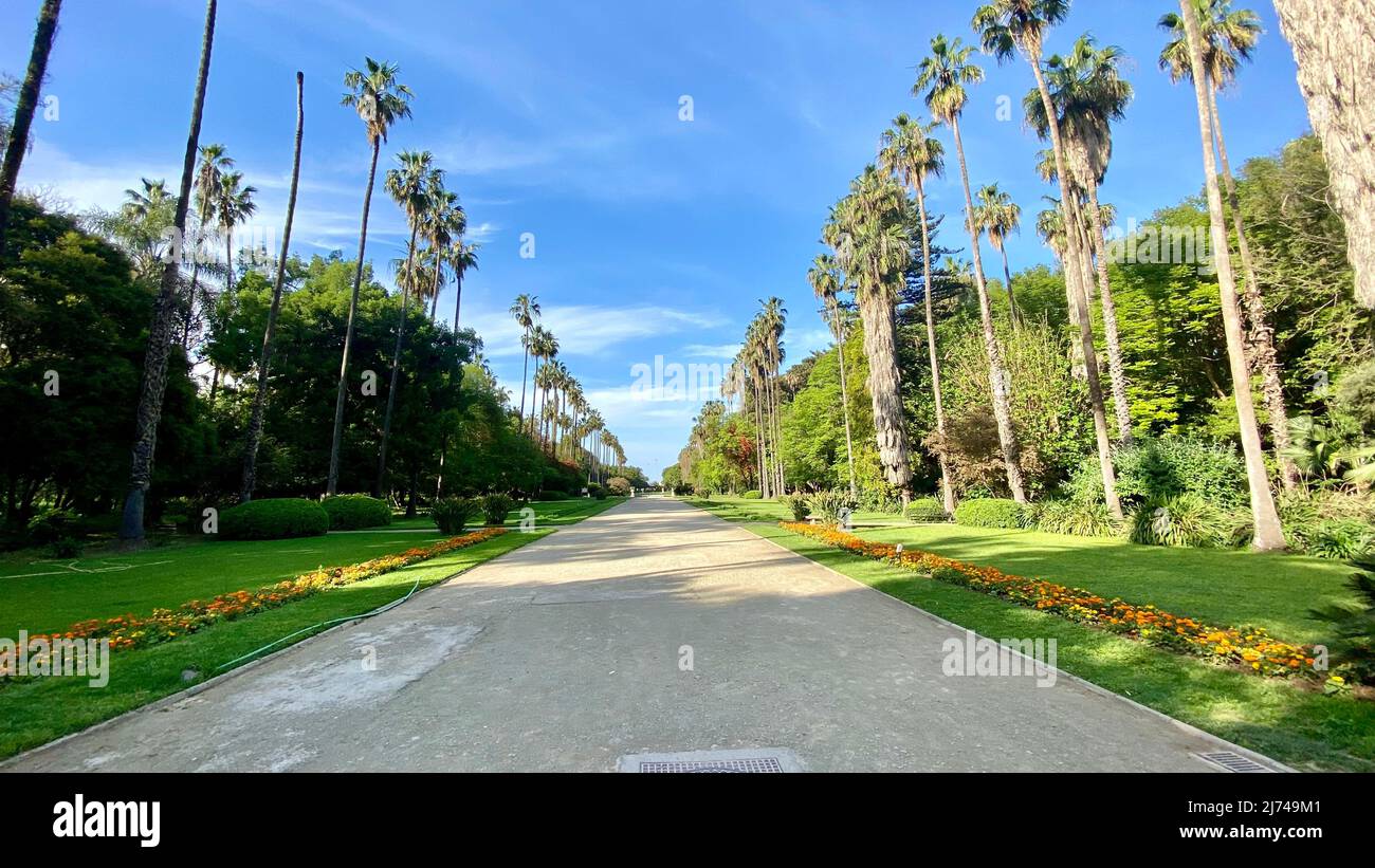 Zoo building and visitors in Botanical test Garden of Hamma Algiers