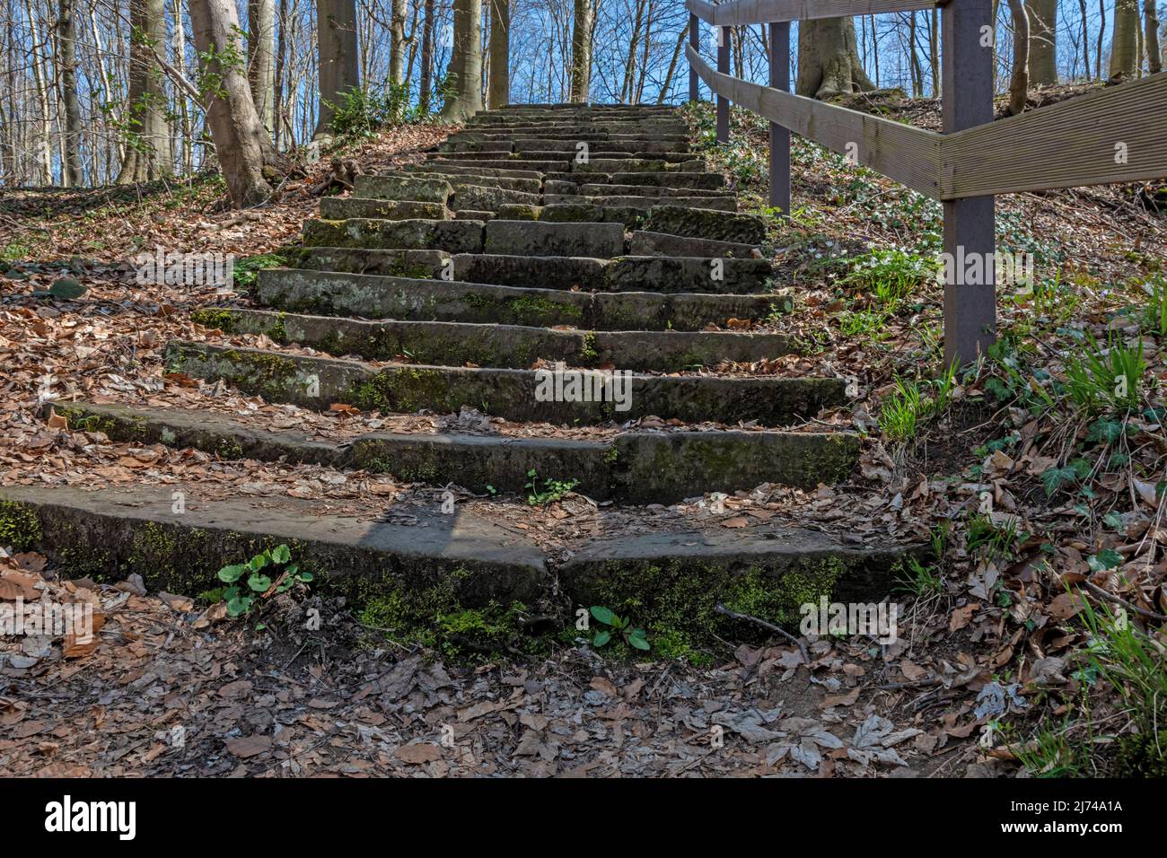 Up the stairs. The Laves Path leads up a staircase from the pyramid to the temple. Strenuous but beautiful Stock Photo