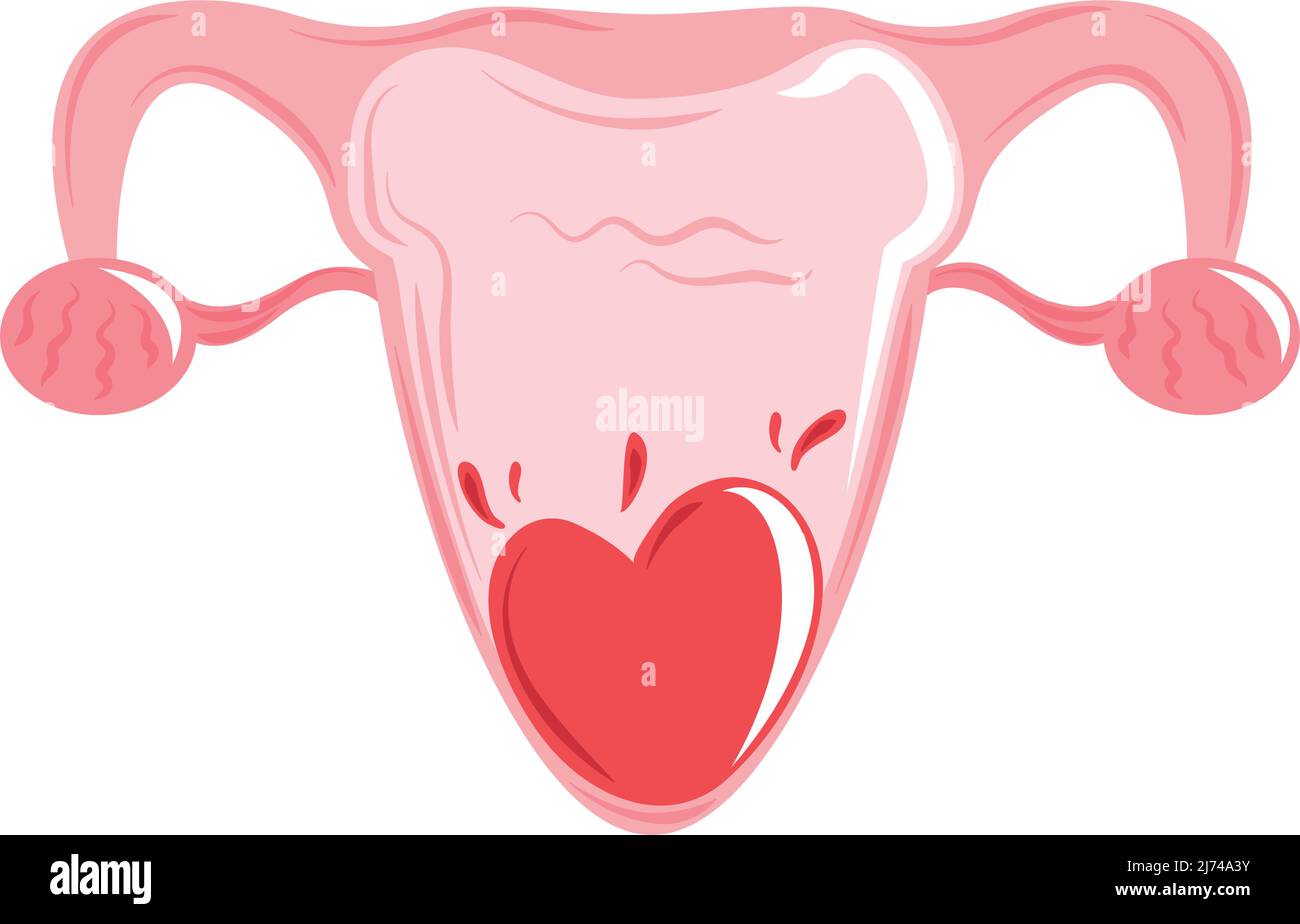 menstruation period uterus Stock Vector Image & Art Alamy