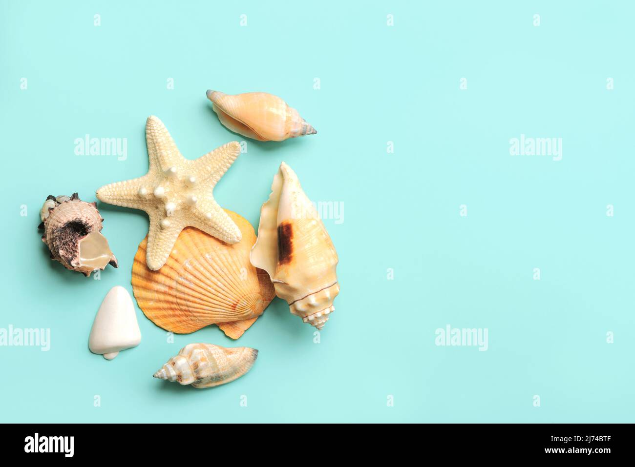 Summer holiday concept.Top view of sea shells and starfish with space for text over blue background Stock Photo