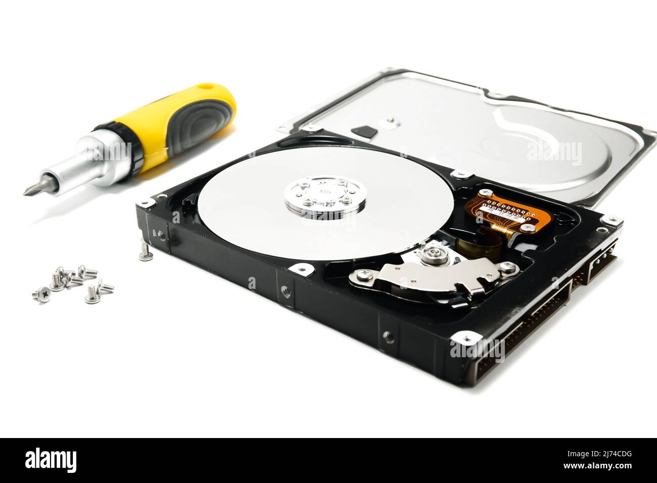Open hard drive and screwdriver isolated on white background closeup