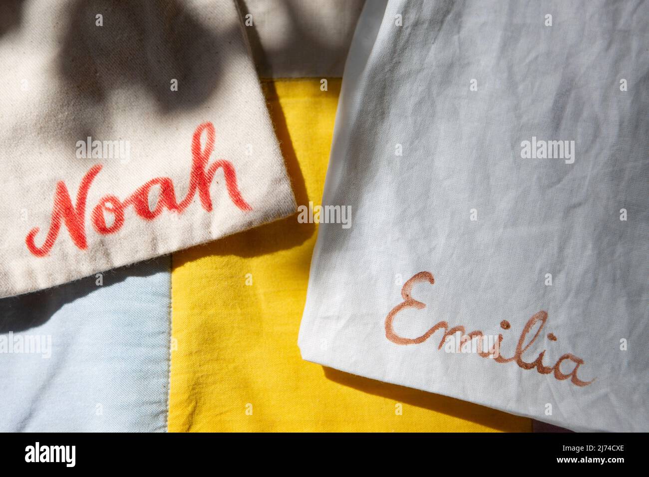 How Common is the Name Noah