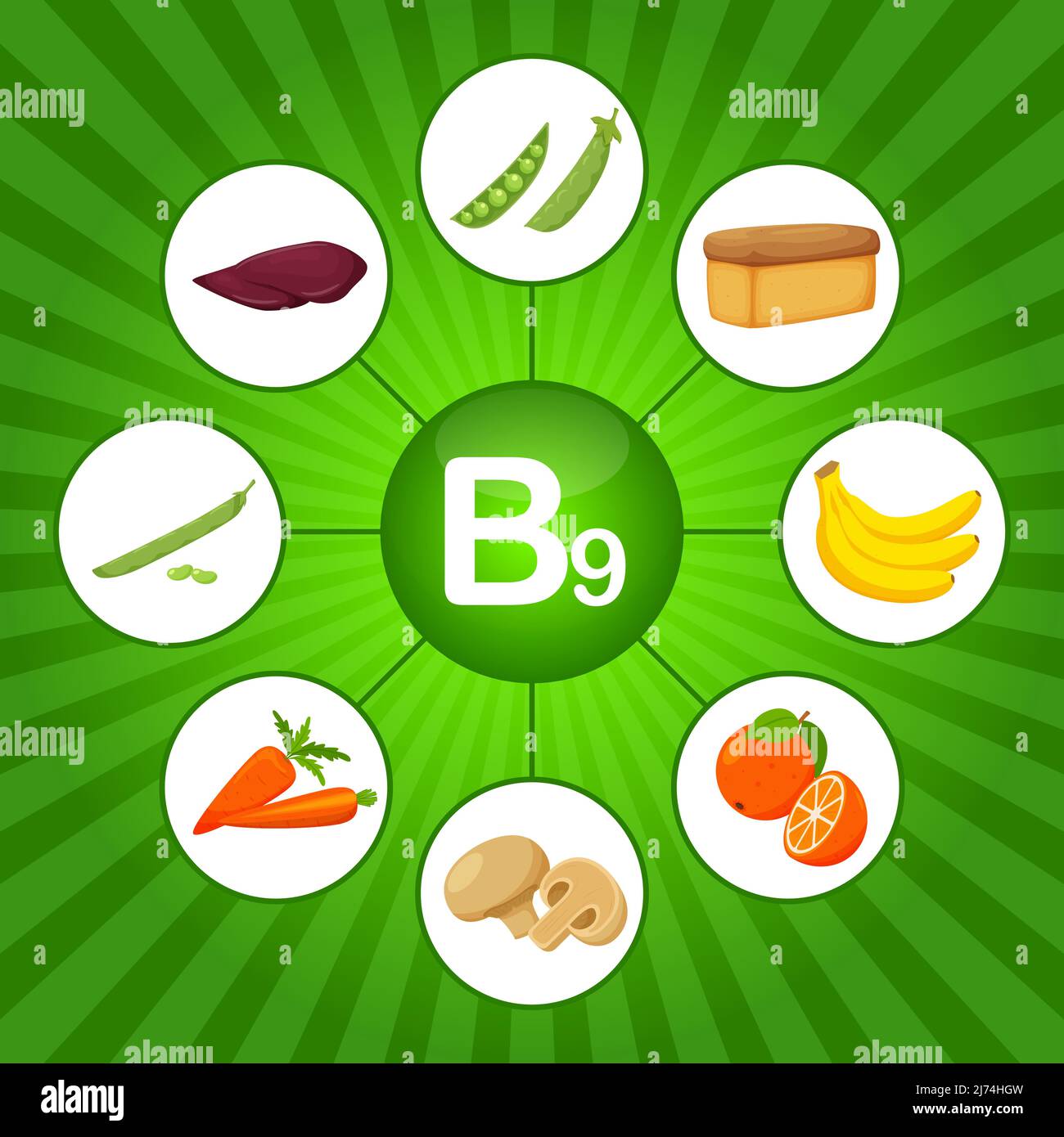 food balance diet menu poster Stock Vector Image & Art - Alamy