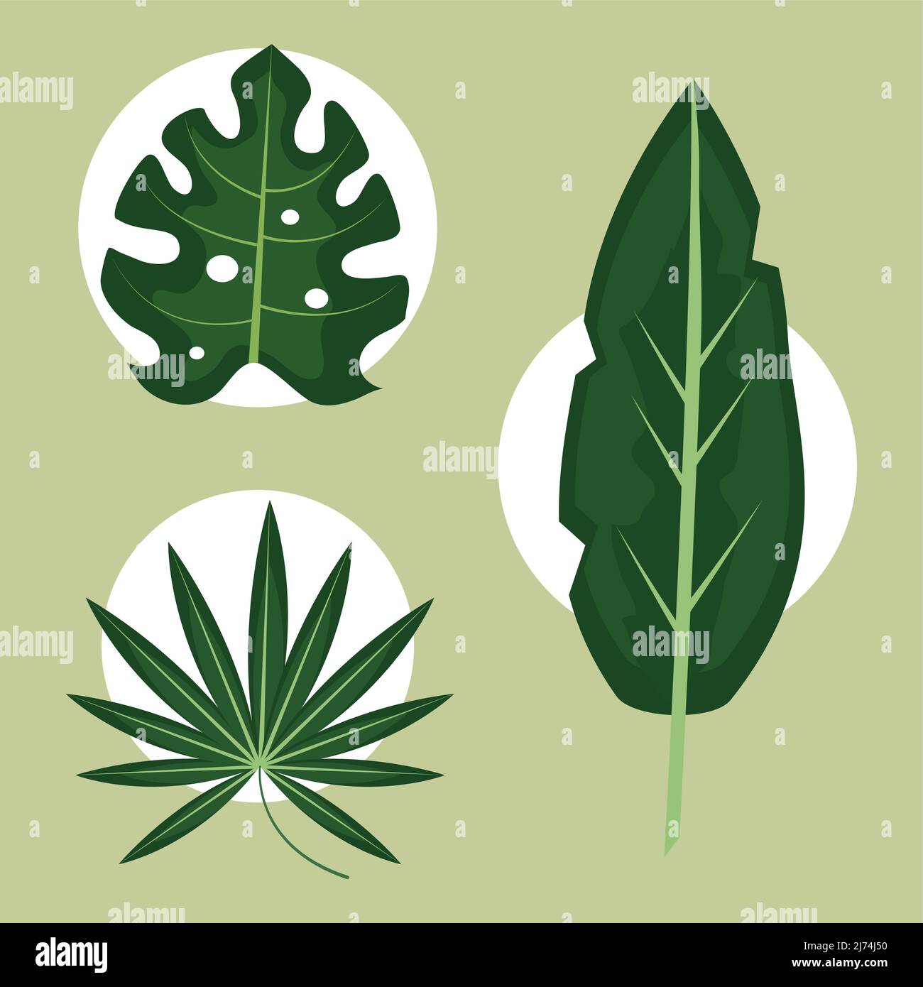 tropical leaves icons Stock Vector Image & Art - Alamy