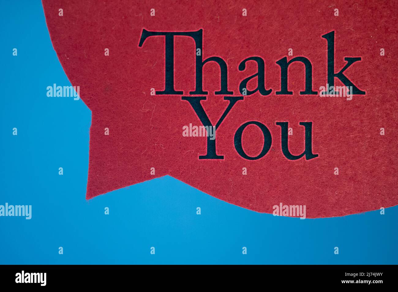 Speech bubble in front of colored background with Thank You text Stock ...
