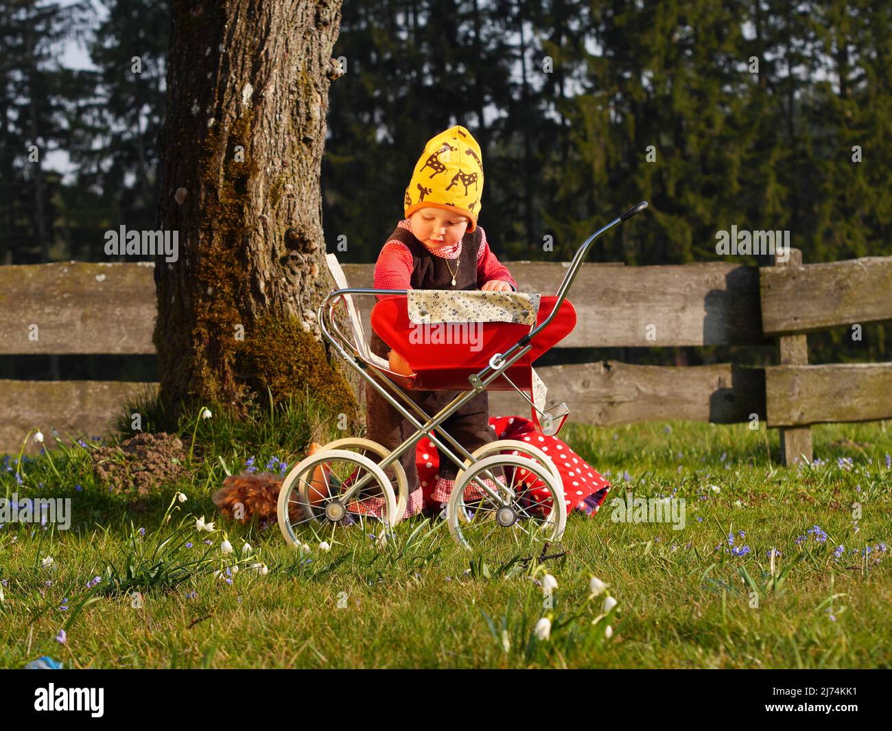 Kind legt Puppe in Puppenwagen Stock Photo