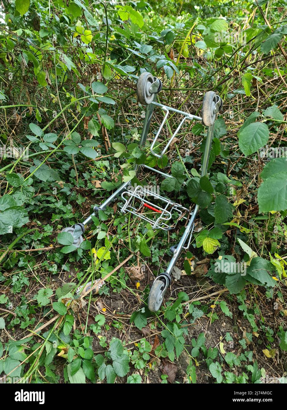 broken shopping cart lying in the bushes, Germany Stock Photo Alamy
