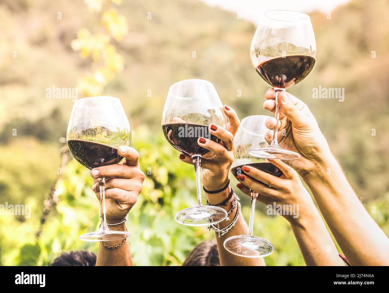 Hands toasting red wine glass and friends having fun cheering at  winetasting experience - Young people enjoying harvest time together at  farmhouse vin Stock Photo - Alamy