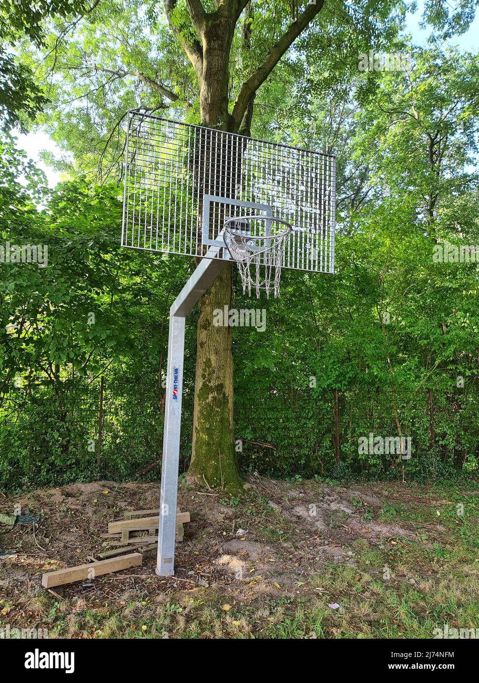 basketball hoop standing at a tree, Germany Stock Photo Alamy