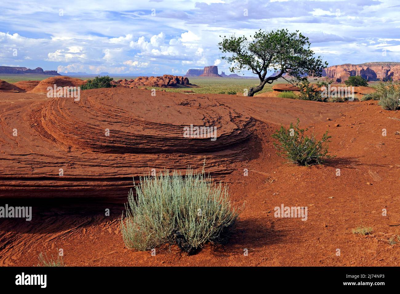Typical landscape of the Mystery Valley, USA, Arizona Stock Photo