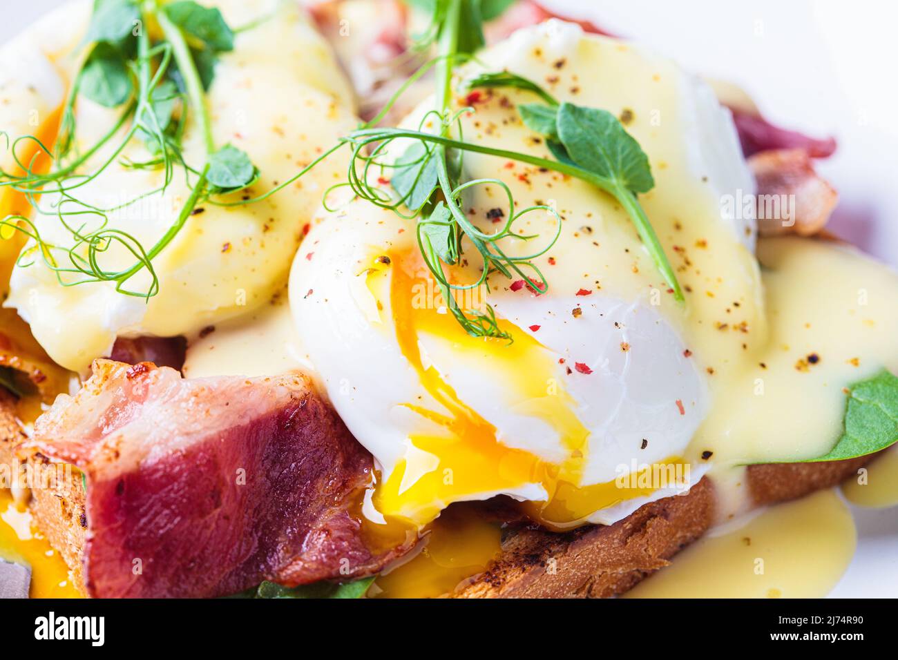 Eggs benedict on crispy toast with bacon and traditional hollandaise