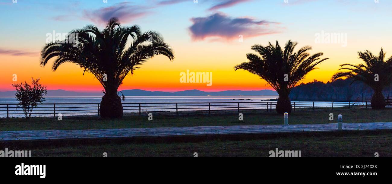 Golden colorful sunset over sea coast with palm trees silhouette panoramic banner background Stock Photo