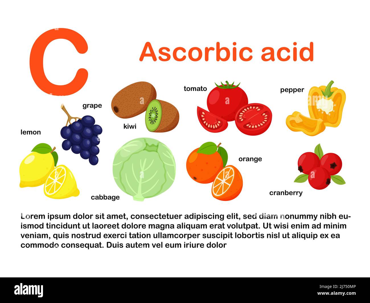 Rectangular poster with food products containing vitamin C. Ascorbic acid. Medicine, diet, healthy eating, infographics. Products with the name.Flat c Stock Vector