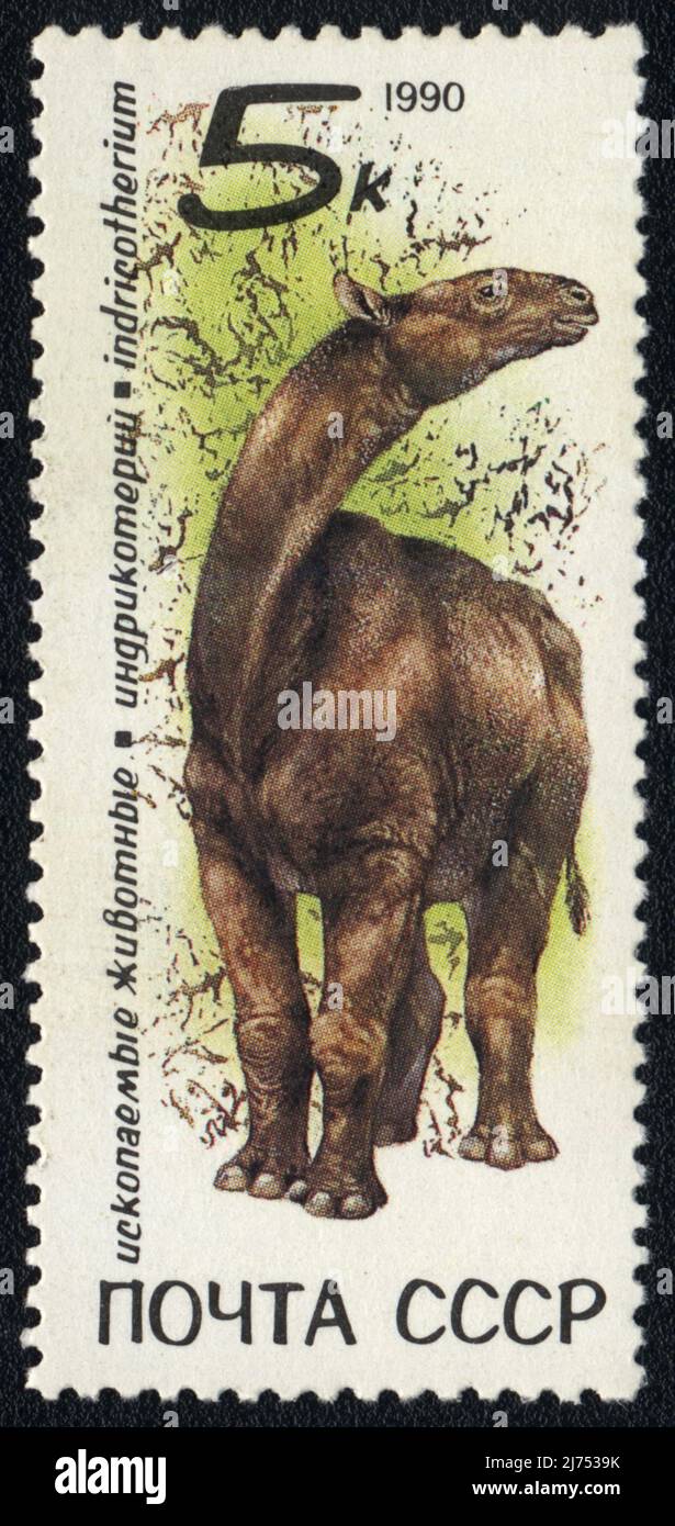 A postage stamp shows a image of Indricotherium, seria Fossil animals, USSR 1987 Stock Photo