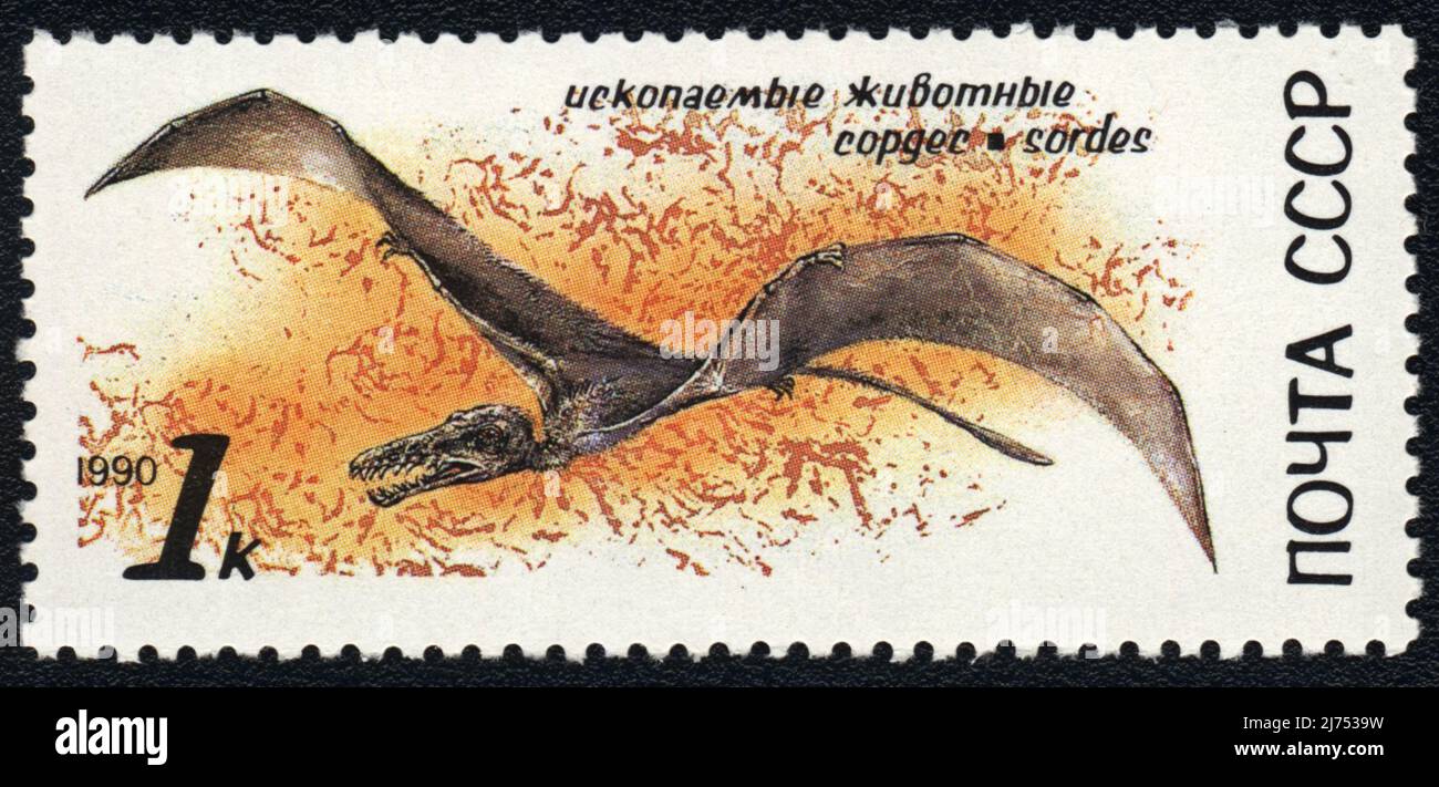A postage stamp shows a image of  Sordes or small pterosaur, seria Fossil animals, USSR 1987 Stock Photo