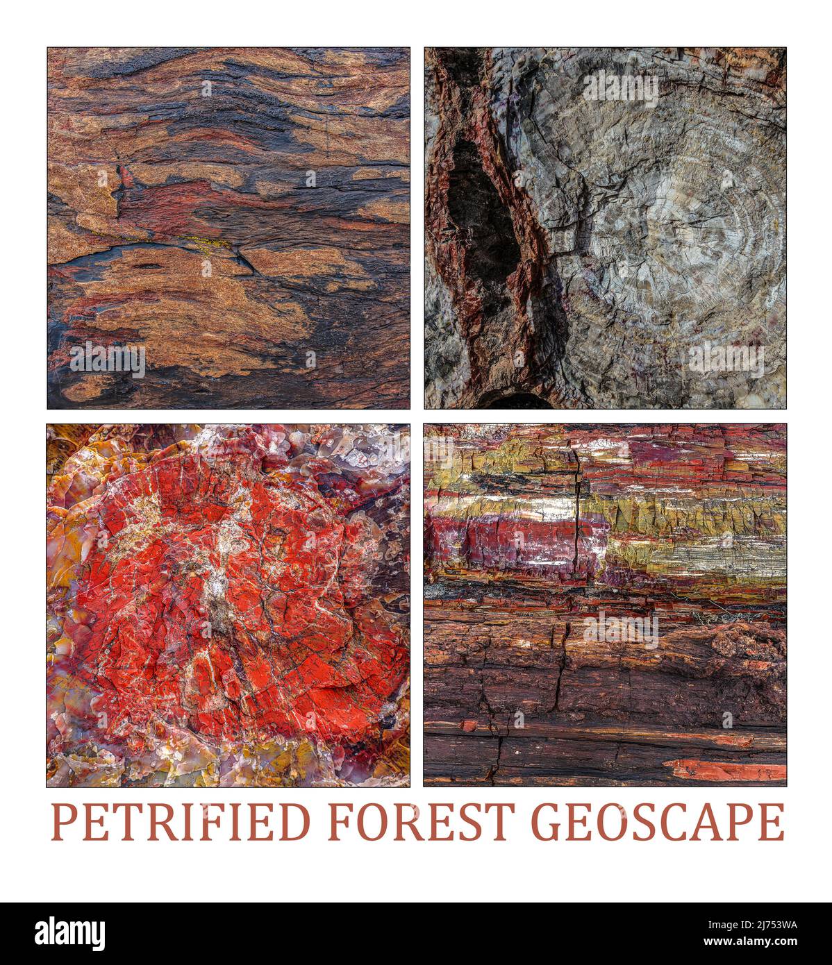 Classic Landscapes Series: Petrified Forest national Park, Arizona. Stock Photo