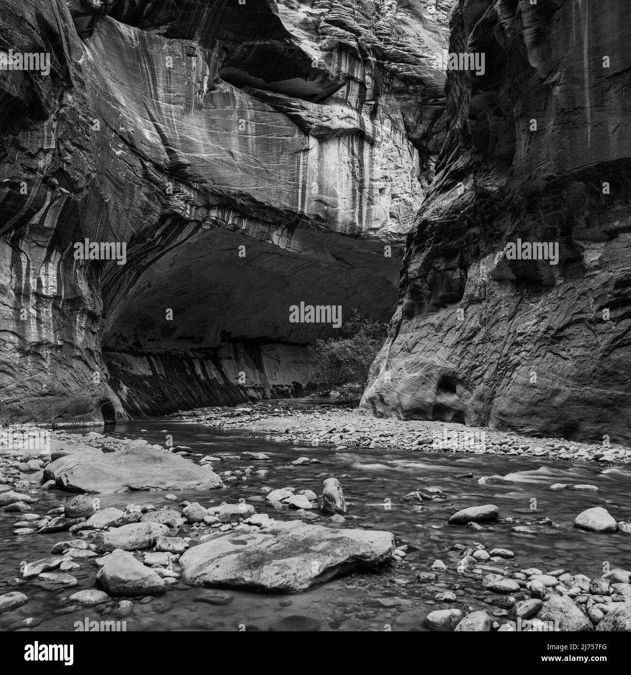Virgin River in The Narrows, Zion National Park, Utah, USA Stock Photo