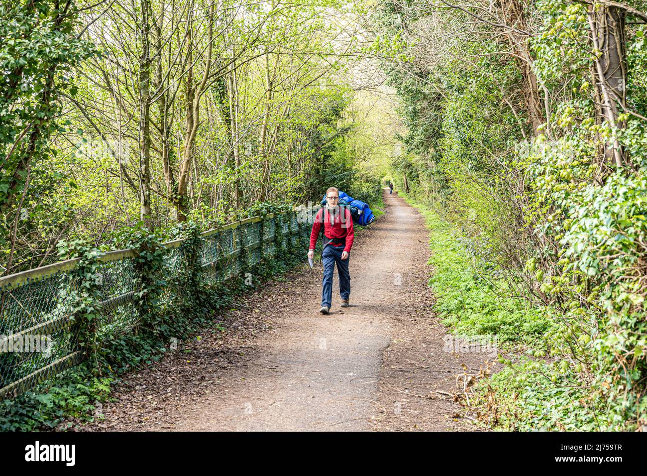 A hiker on the Cotswold Way National Trail on the old Stonehouse to Nailsworth Midland Railway line at Ebley, Gloucestershire, England UK Stock Photo