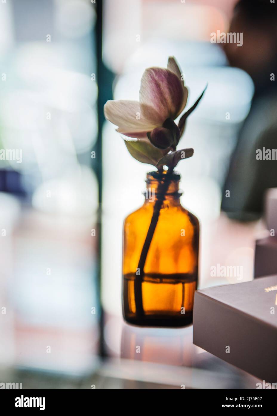 Glass bottle with flower still life Stock Photo