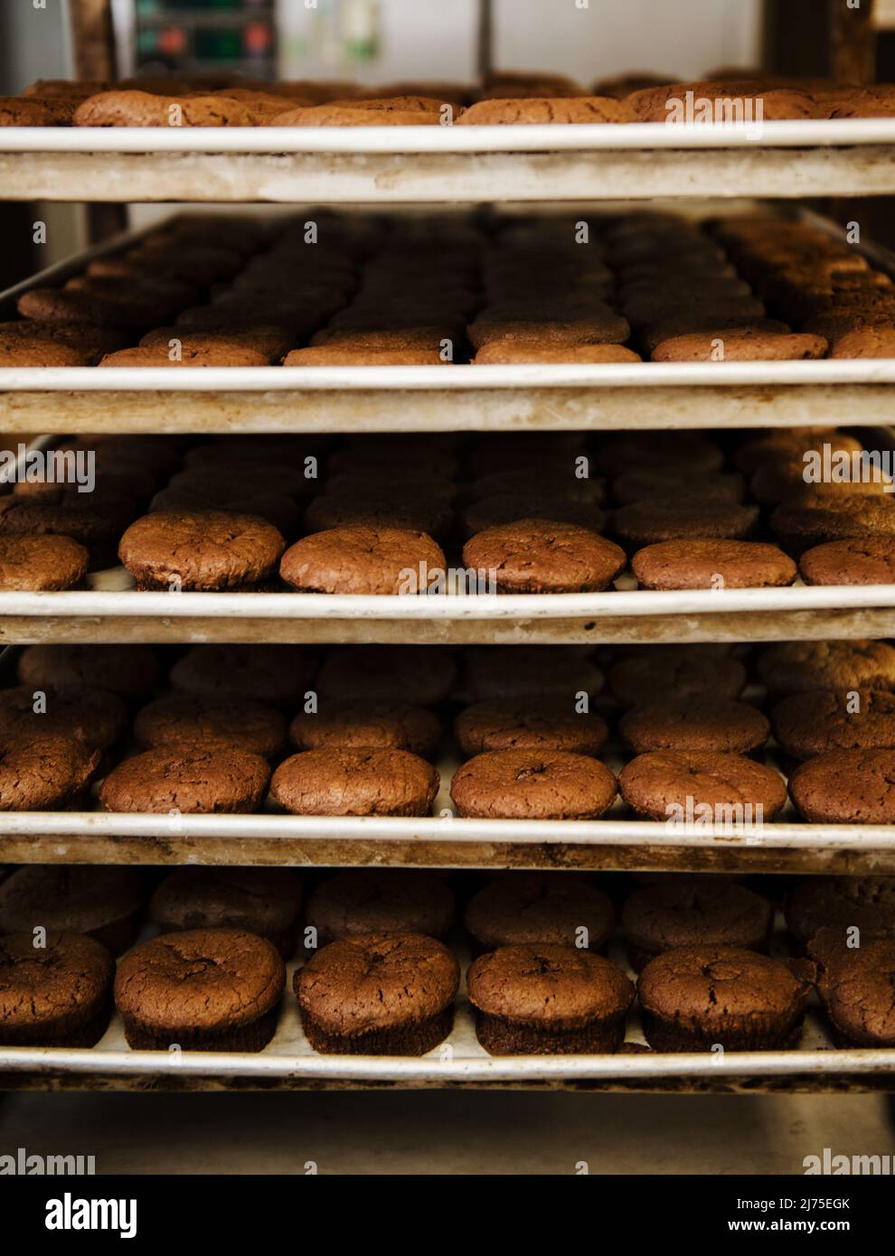 chocolate pastries sitting on racks in a bakery Stock Photo Alamy
