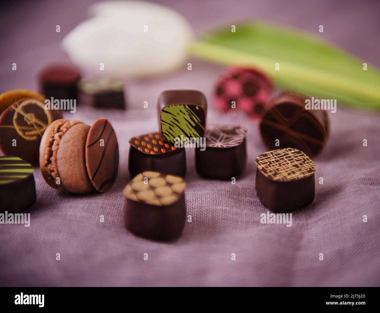 Assorted gourmet chocolates Stock Photo Alamy