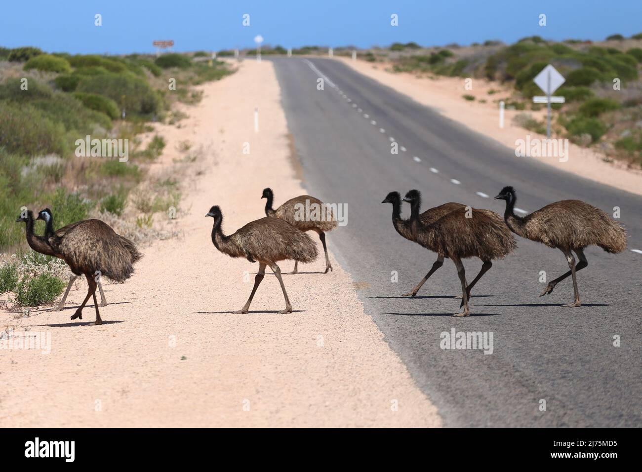 Traveling around australia hi-res stock photography and images - Alamy