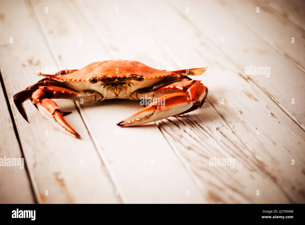 Crab on a wooden picnic table Stock Photo