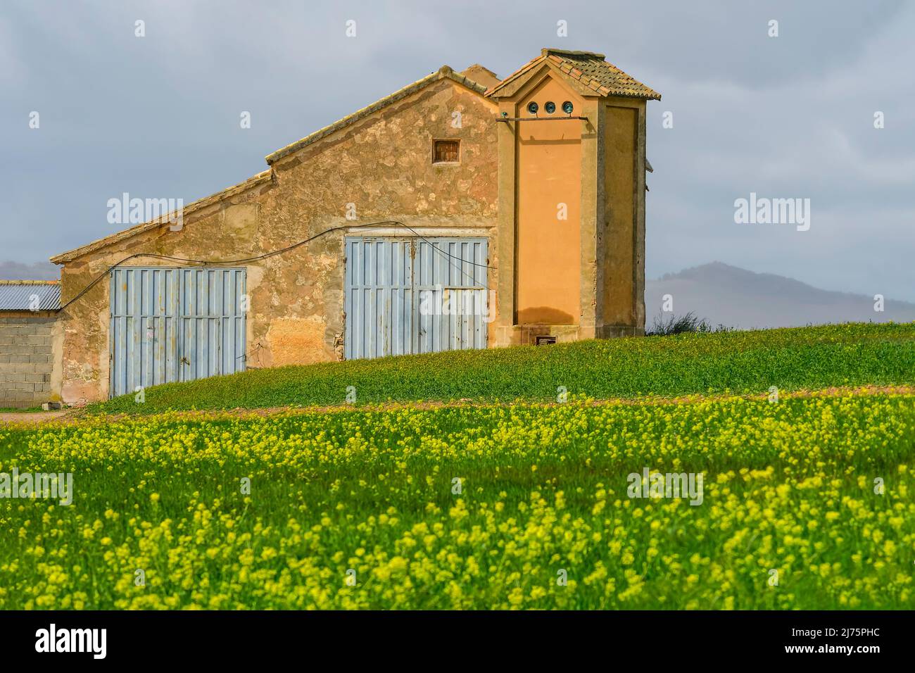 Cereal silo in the agricultural landscape Stock Photo
