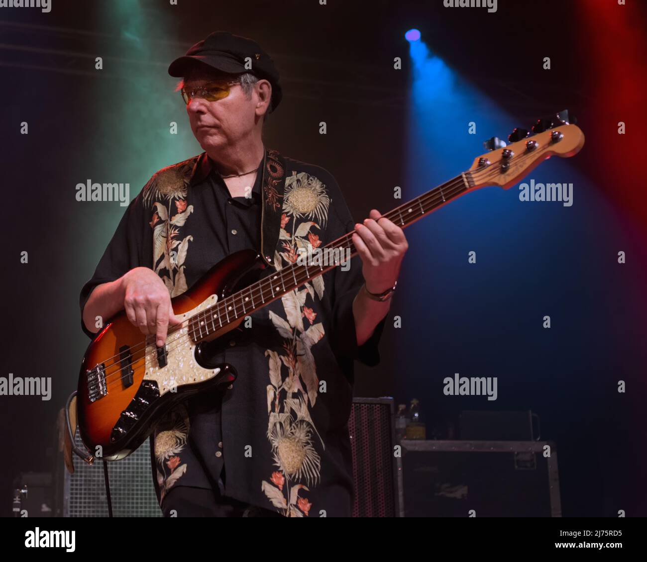 Tommy Shannon on stage in concert Stock Photo - Alamy