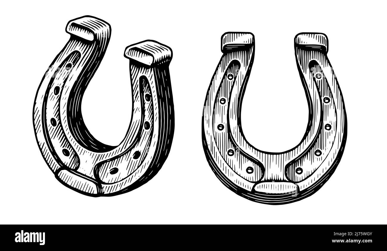 Horseshoe hand drawn engraving style. Vintage sketch isolated on white background. Vector illustration Stock Vector
