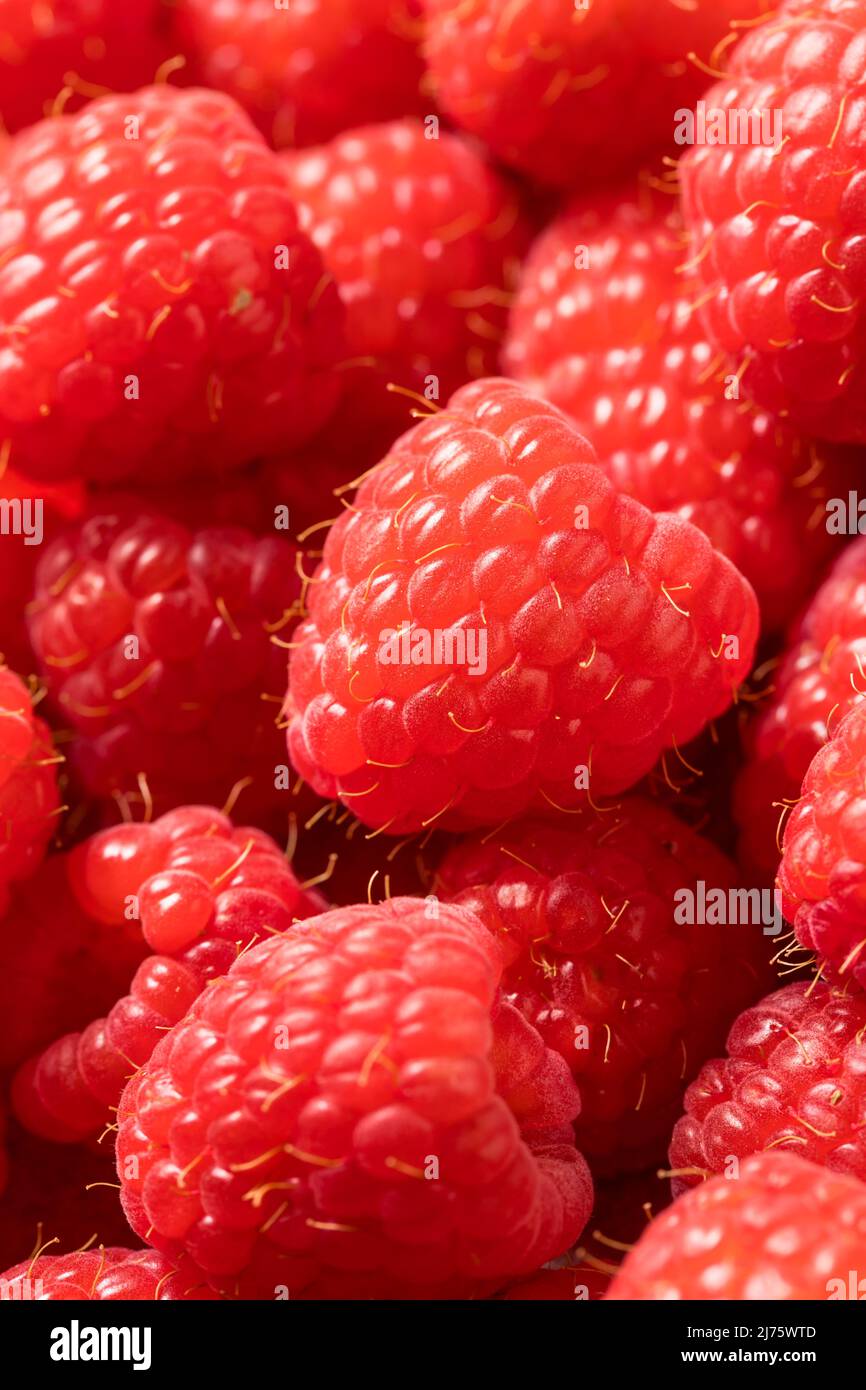 Ripe raspberries hi-res stock photography and images - Alamy