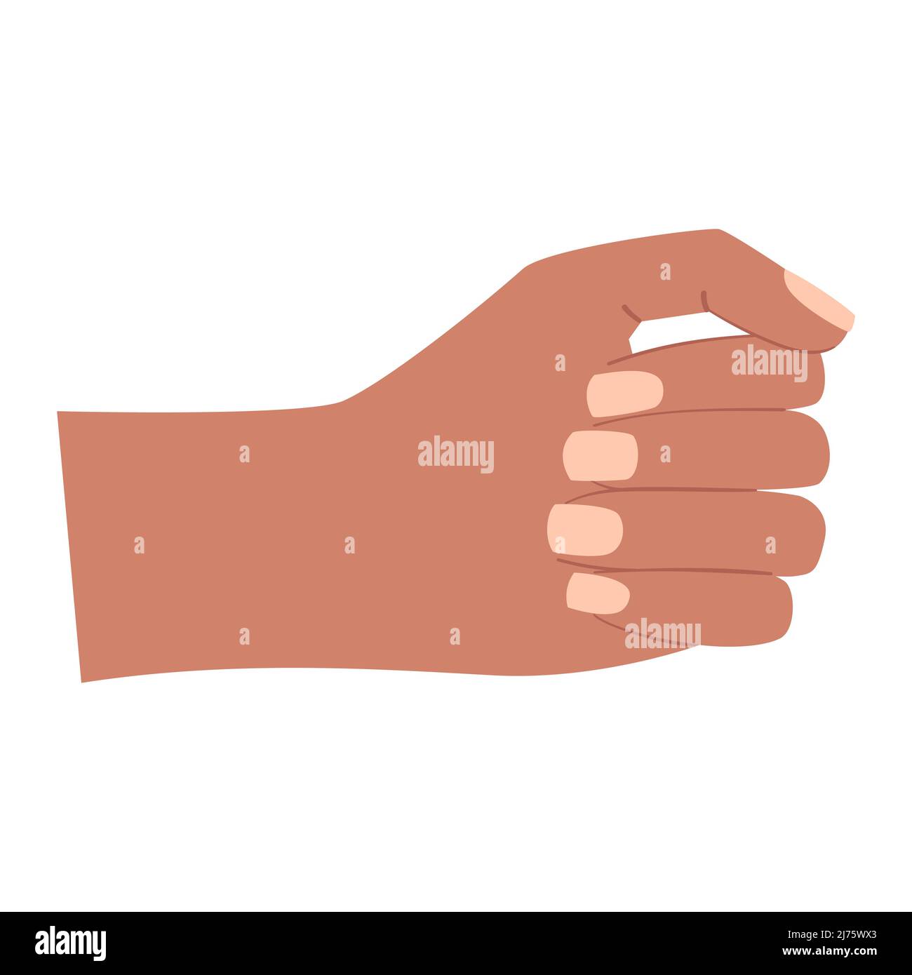 A human hand. A clenched, closed palm. Gesture. Holds something vertical. An empty fist. Color vector illustration isolated on white background. Stock Vector