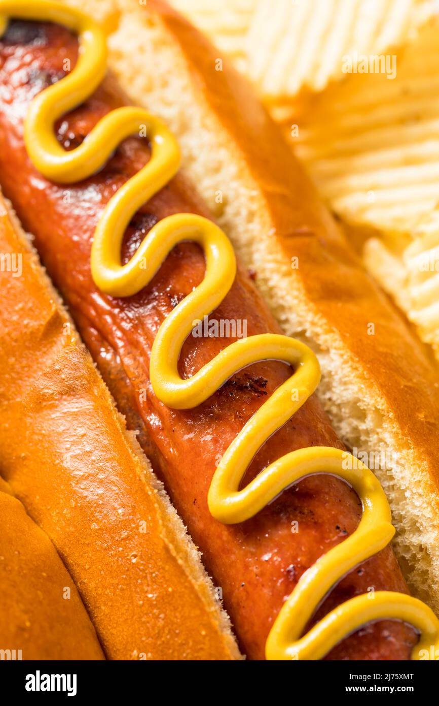 Homemade American Hot Dog with Mustard and Potato Chips Stock Photo Alamy