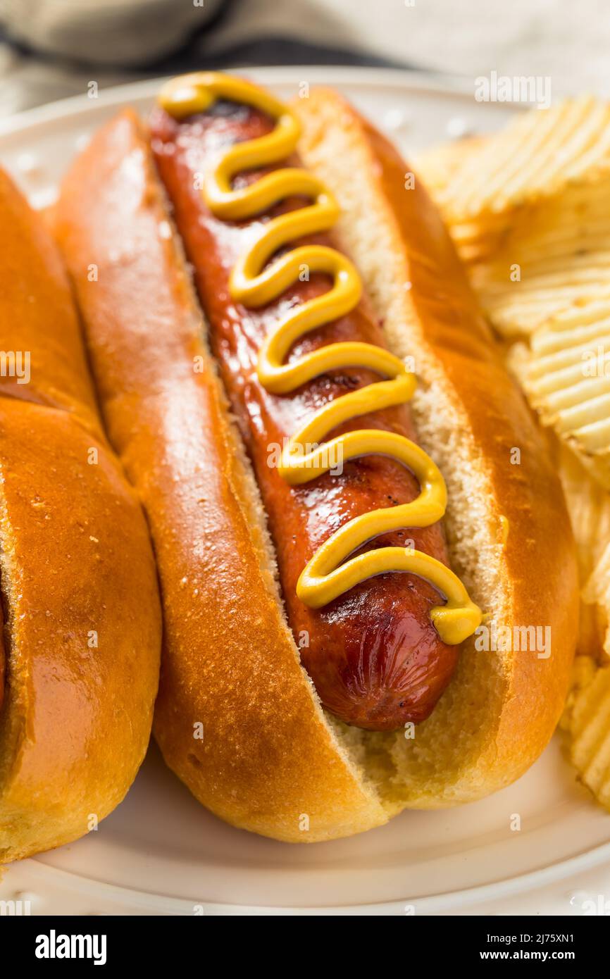 Homemade American Hot Dog with Mustard and Potato Chips Stock Photo Alamy