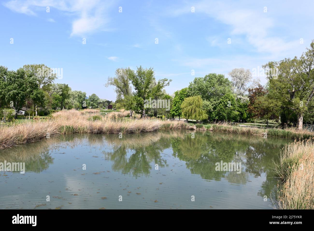 Vienna, Austria. the Donaupark in Vienna with pond Stock Photo