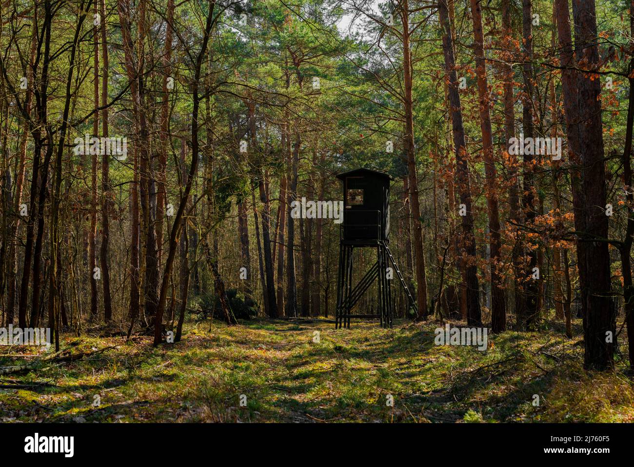 Hunting lodge in the forest in Germany Stock Photo
