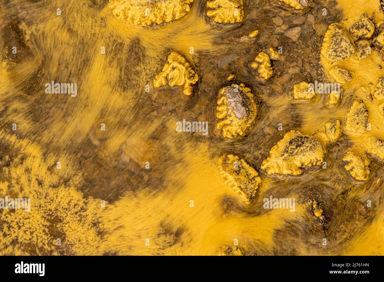 Macro shot of yellow pollen on the shore of Eibsee. Due to the wave, one part moves and other sticks to the stone with bizarre patterns. Stock Photo
