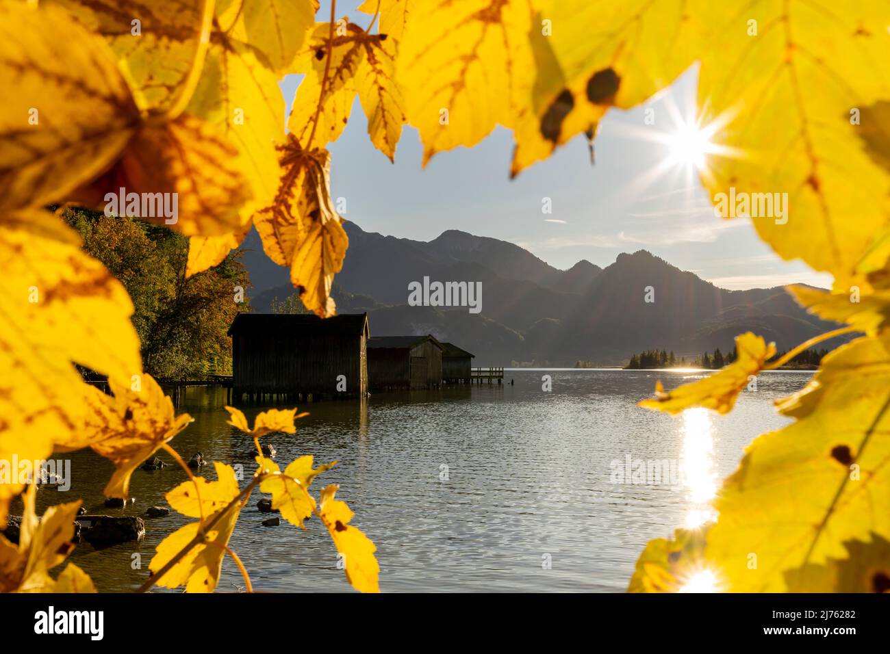 Sunstar and fishermen huts at Kochelsee framed by autumn foliage, maple leaves fotogrfafiert7. Stock Photo