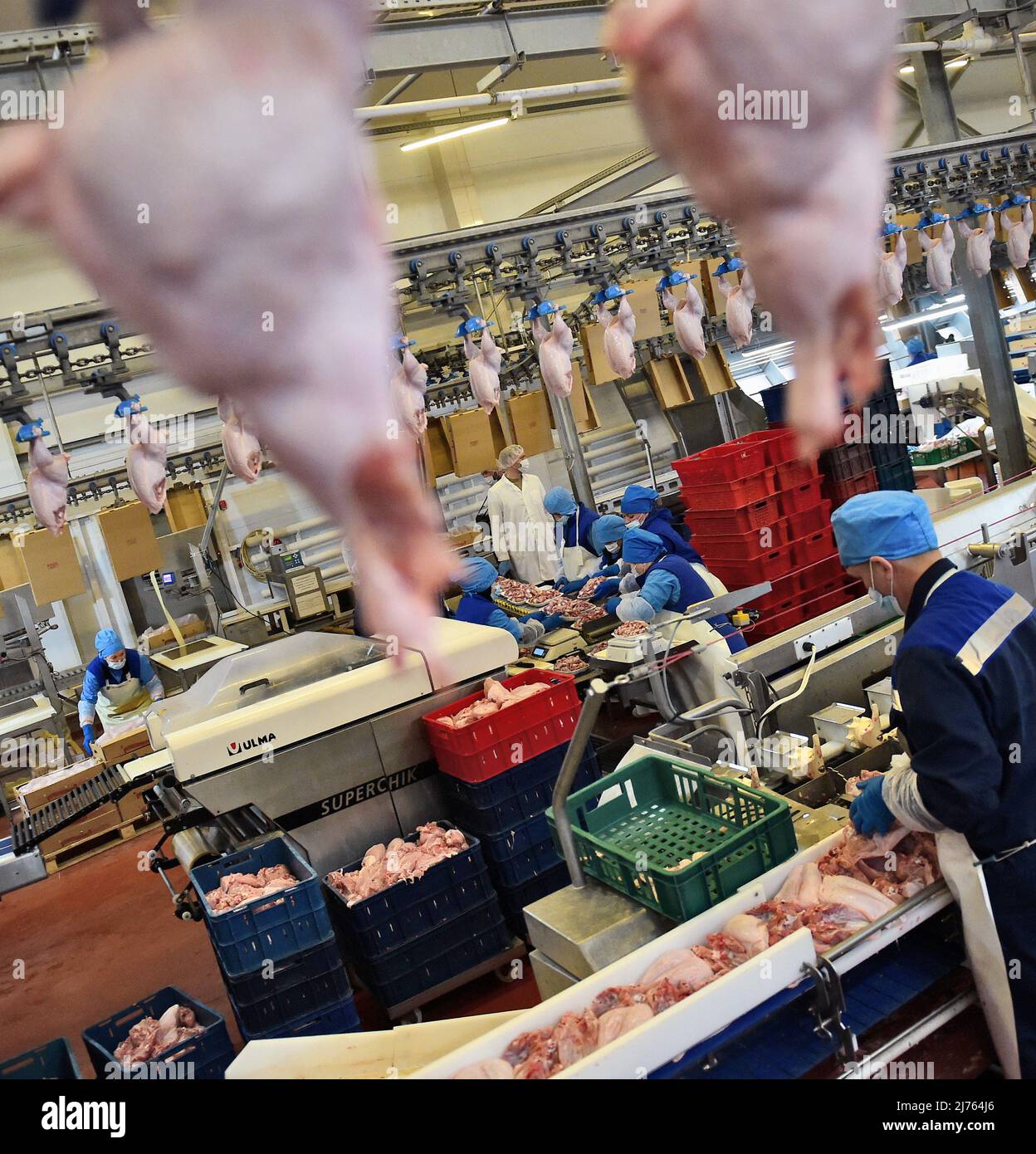 Agroholding "Oktyabrskaya Poultry Farm" in the Novosibirsk Region