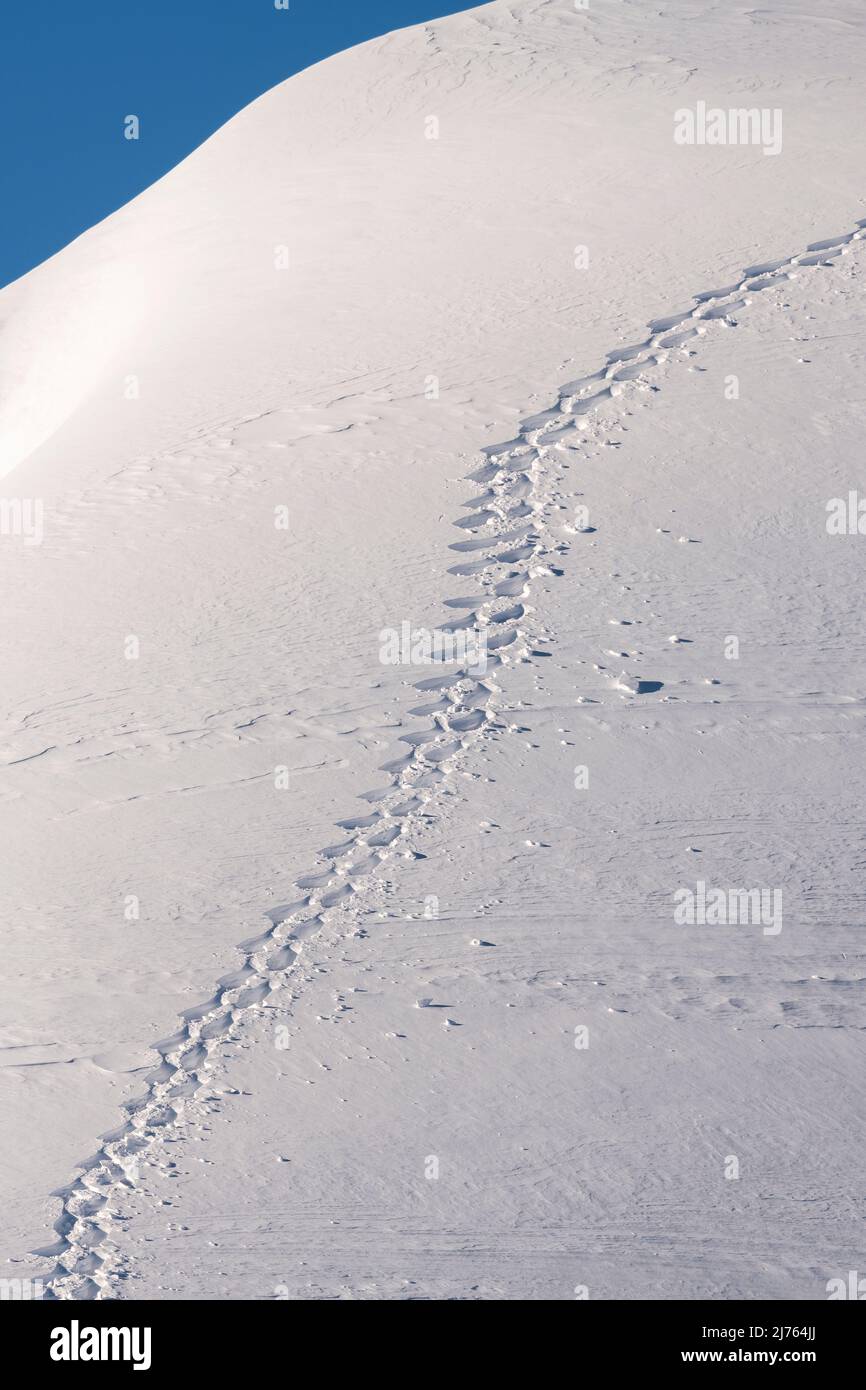 A single snowshoe track in the Karwendel on a mountain slope in the