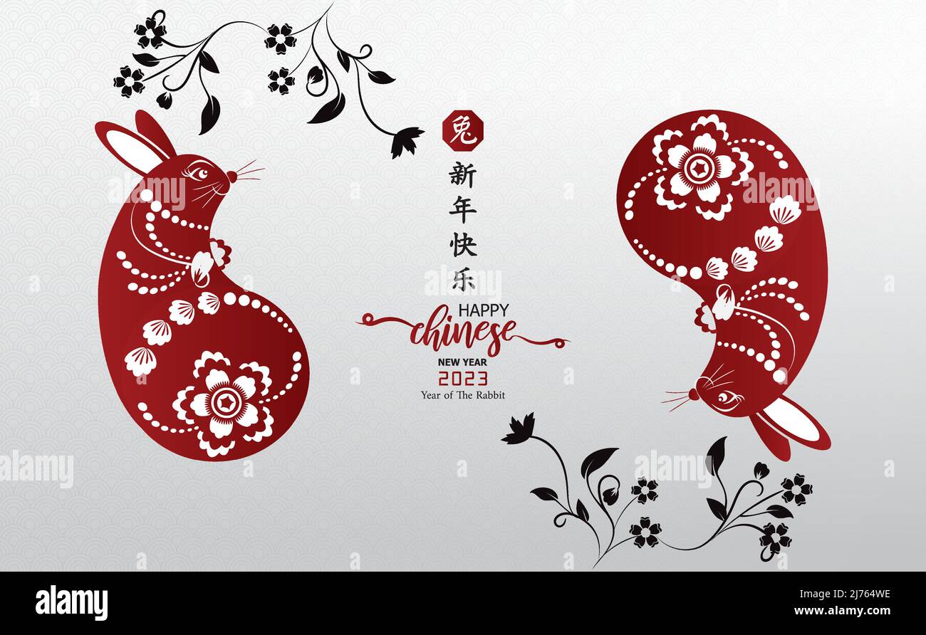 Happy Chinese new year 2023. Year of Rabbit character with Asian style.  Chinese translation is mean Year of Rabbit Happy Chinese new year Stock  Vector Image & Art - Alamy