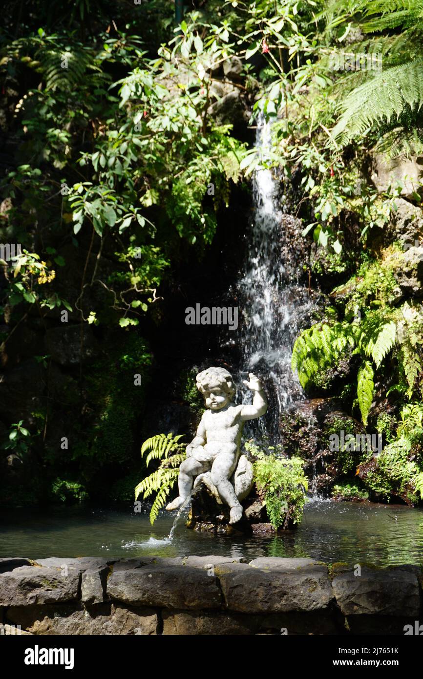 Cherub Sculpture in the Jardim Tropical Monte Palace in Monte, Funchal on Madeira island, Portugal, Europe. Photo by Matheisl Stock Photo