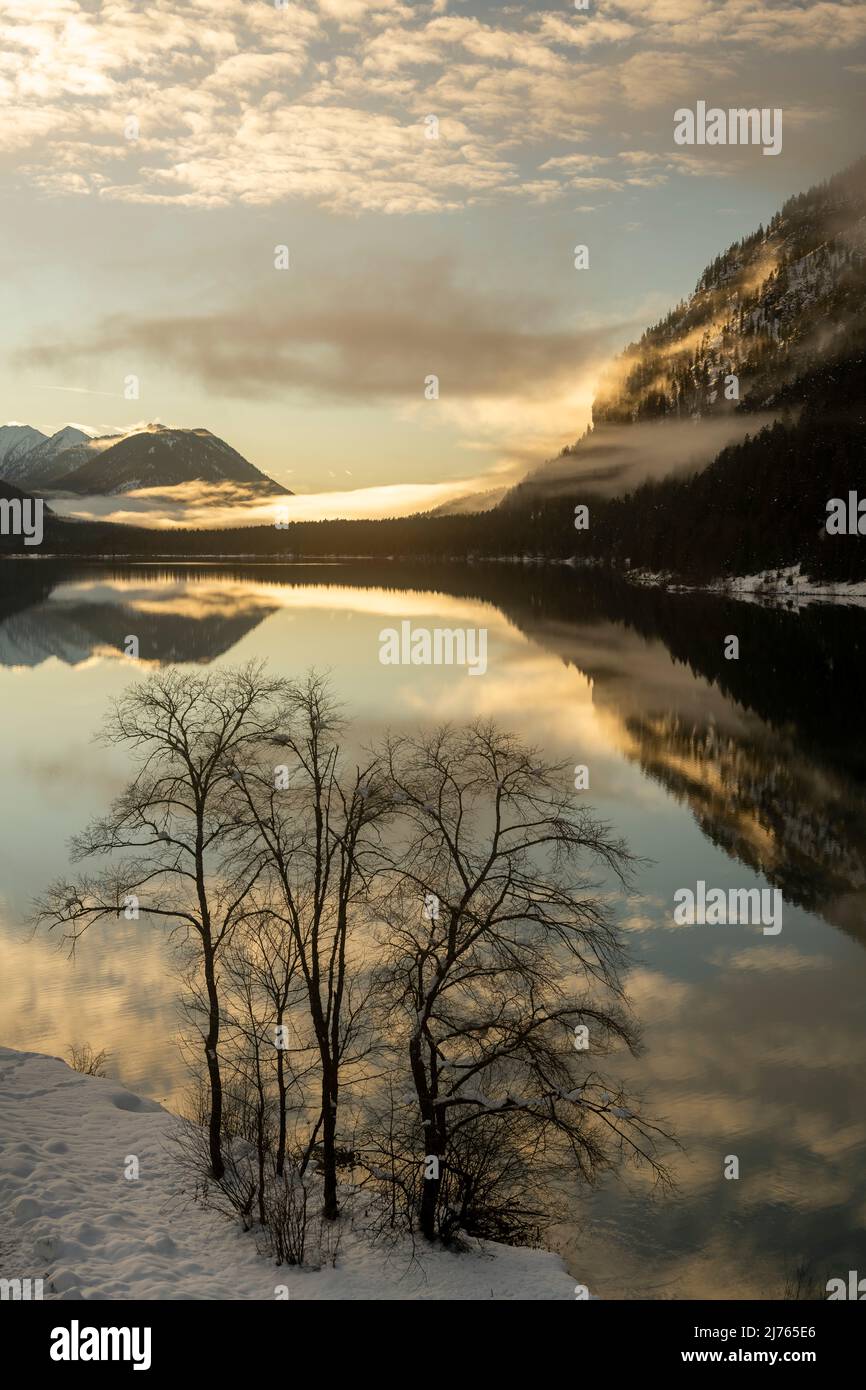 Bare trees on the shore of the Sylvensteinspeichersee in the Karwendel near the village Fall at the bridge in winter with snow, with reflection of an evening light mood in the background. Stock Photo