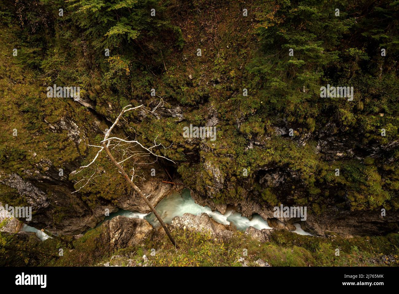 View from above of the Leutascher or Mittenwalder Geisterklamm in the border area between Germany and Austria in autumn Stock Photo