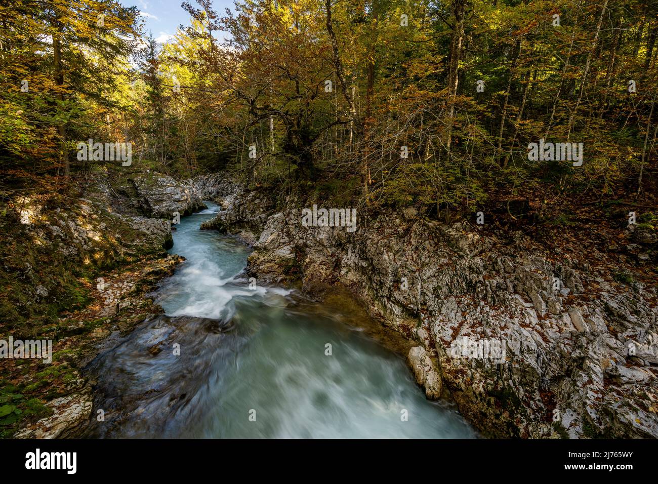 Autumn at the Leutascher or Mittenwalder Geisterklamm in the border area between Germany and Austria. The water flows between rocks and colorful mixed foliage in the direction of Mittenwald, through the branches the snow-covered peaks of the western Karwendel can be spotted in the balmy sky. Stock Photo