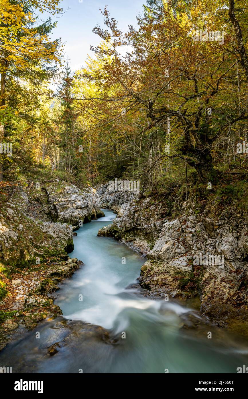 Autumn at the Leutascher or Mittenwalder Geisterklamm in the border area between Germany and Austria. The water flows between rocks and colorful mixed foliage in the direction of Mittenwald, through the branches the snow-covered peaks of the western Karwendel can be spotted in the balmy sky. Stock Photo