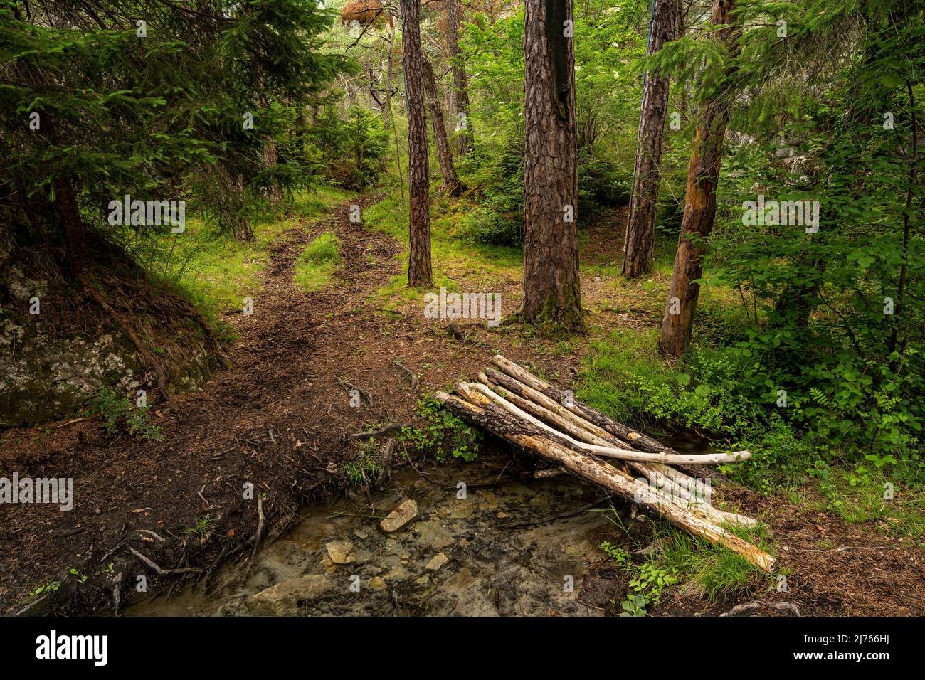 A small wooden bridge over a stream in Forchet, the last remaining mountain forest in the Inn Valley, near Haiming. Stock Photo